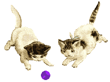 two cats playing with a ball