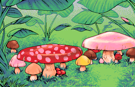 a mushroom oasis