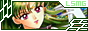 LSMG Sailor Moon Graphics